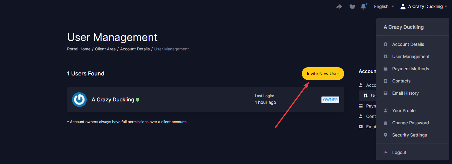 New user invitation form with email and permission fields